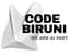 Code Biruni Logo